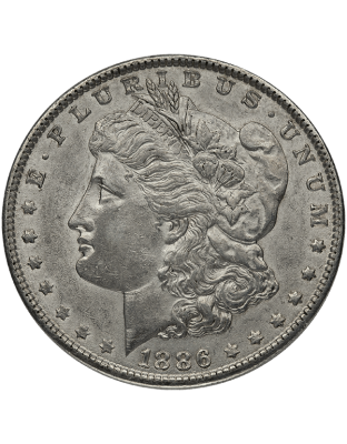 AMERICAN SILVER DOLLAR MORGAN XF Obverse