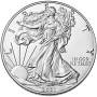 2021 1 OZ AMERICAN SILVER EAGLE TYPE 1 REVERSE Obverse