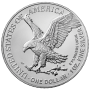 2022 1 OZ AMERICAN SILVER EAGLE Obverse