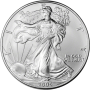 2005 1 OZ  AMERICAN SILVER EAGLE Obverse