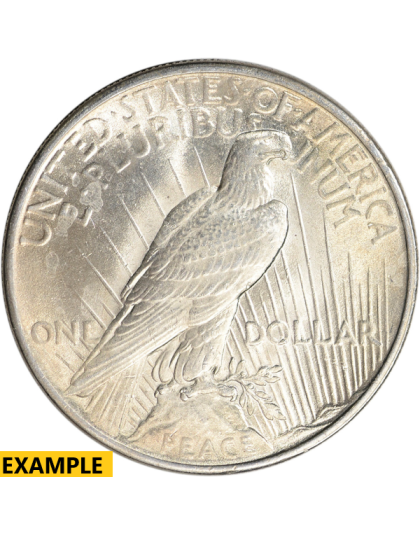 1925 $1 U.S. SILVER PEACE BU Reverse
